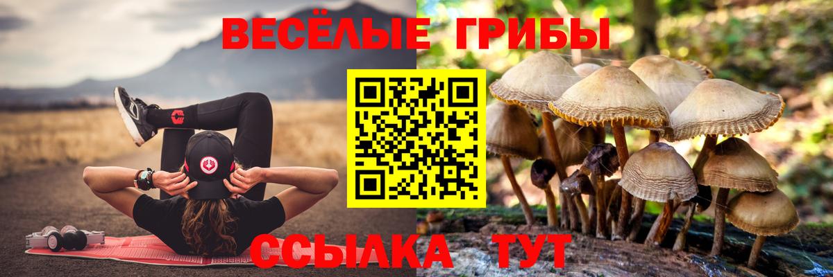 Псилоцибиновые грибы мухоморы Кинешма
